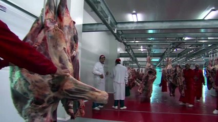 Kırmızı Et Borsası Tanıtım Filmi