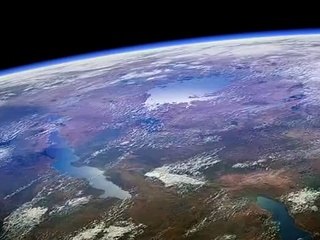 Malawi Gölü - Ciklet Balıkları