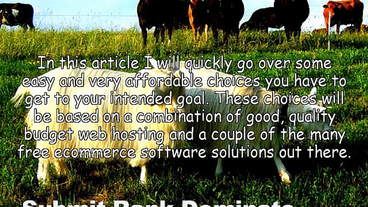 Ecommerce With Quality Budget Hosting and Free Software Solutions