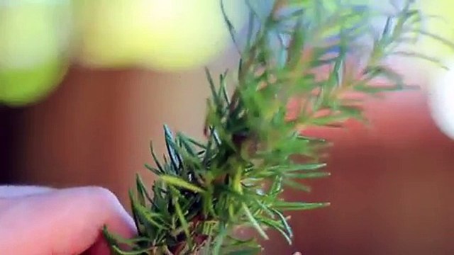 Il verse de l’huile d’olive dans une canette de Coca-Cola pour une raison vraiment brillante!