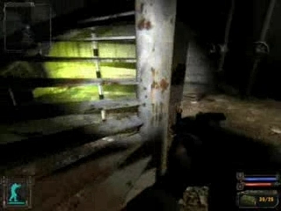 stalker ingame
