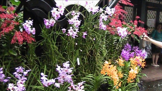 Elegant Singapore Botanical Gardens 2014, A Tourist Delight - Singapore Holidays