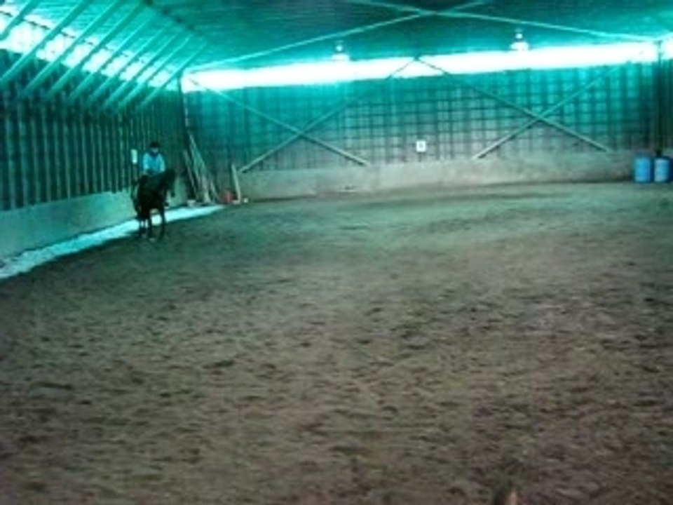 Moi qui trotte dans un cercle