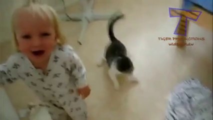 Funny Cats Annoying Babies- Child Fun-