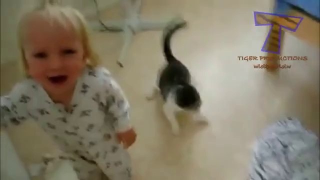 Funny Cats Annoying Babies- Child Fun-