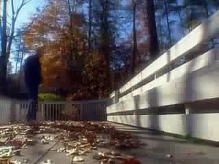 Experimento Filadelfia