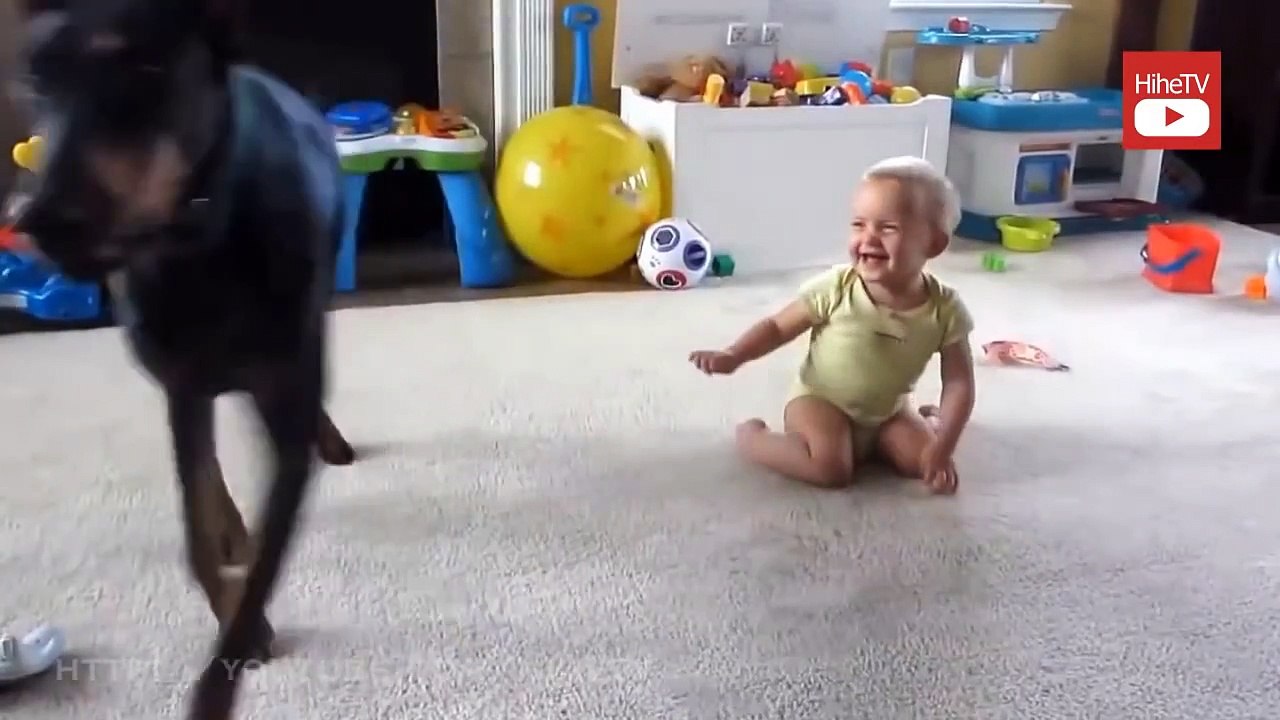 Animals Love Babies Compilation 2015