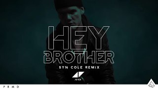 Hey Brother (Syn Cole Remix) (Pete Tong Radio 1 Premiere)