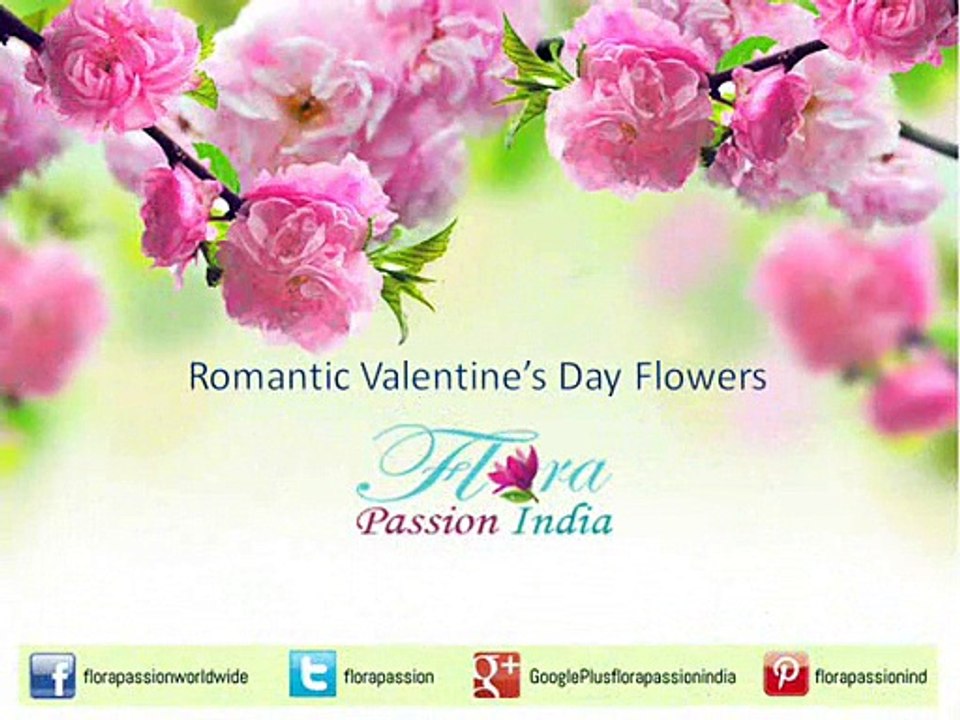 Romantic Valentine’s Day Flowers