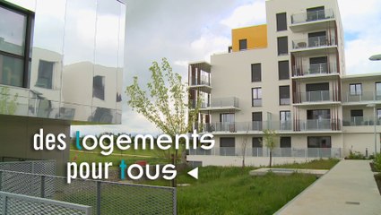 Andromède raconté par ceux qui y vivent et y travaillent