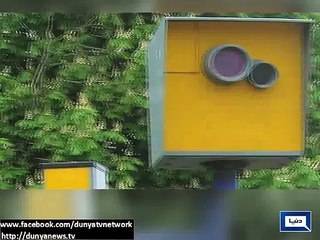 Dunya News - Light stories from all over the world