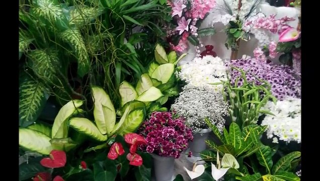 Adana Çiçek Adana Çiçekçi Adana Çiçek Siparişi Adana Çiçek Gönder Adana Çiçek Kent