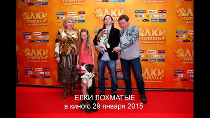 смотреть елки лохматые