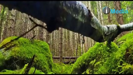 Ahmed Awad - Aref Ya Raby   احمد عوض - عارف يا ربى