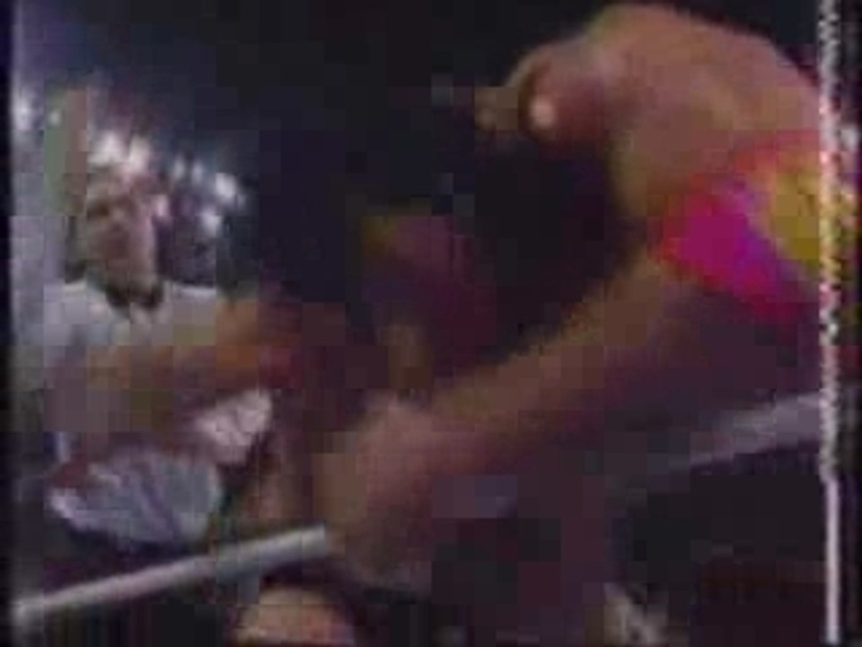 Razor Ramon Vs Ted DiBiase Summerslam 93