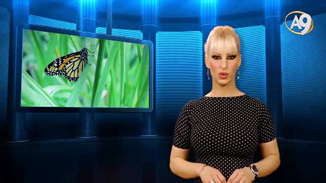 Derin Düşünmek 5