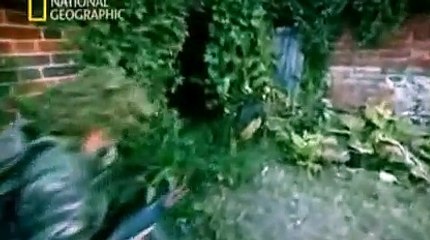 Generales en Guerra - Stalingrado