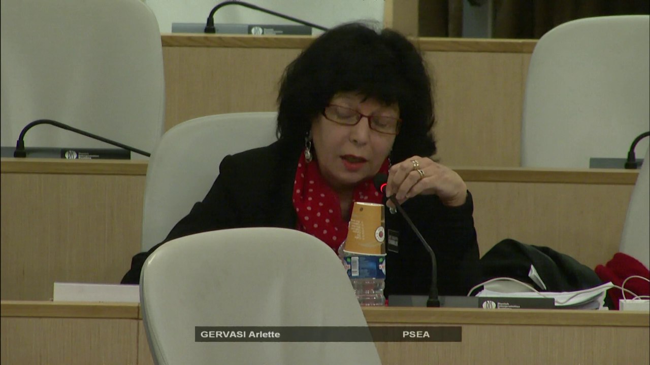 Amendement de soutien aux petits festivals - Arlette GERVASI