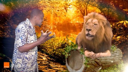 Journal de la CAN Orange 2015: Ep10 " Le lion est mort ce soir "