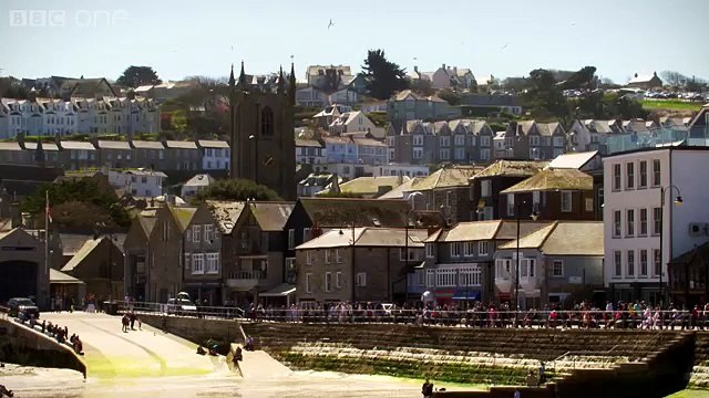 Would this seagull steal your sandwich - Nature's Boldest Thieves Preview - BBC One