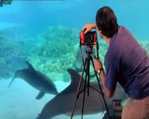 Grandes Transformaciones