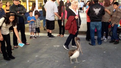 California Redondo Beach