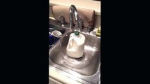 Rinsing a Milk Carton Creates a Magic Water Bubble