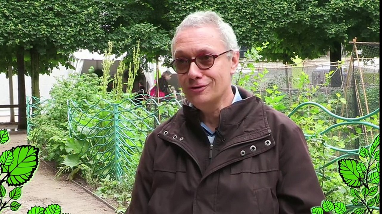 Jardin : apprendre l'entretien du jardin en hiver, conseils simples