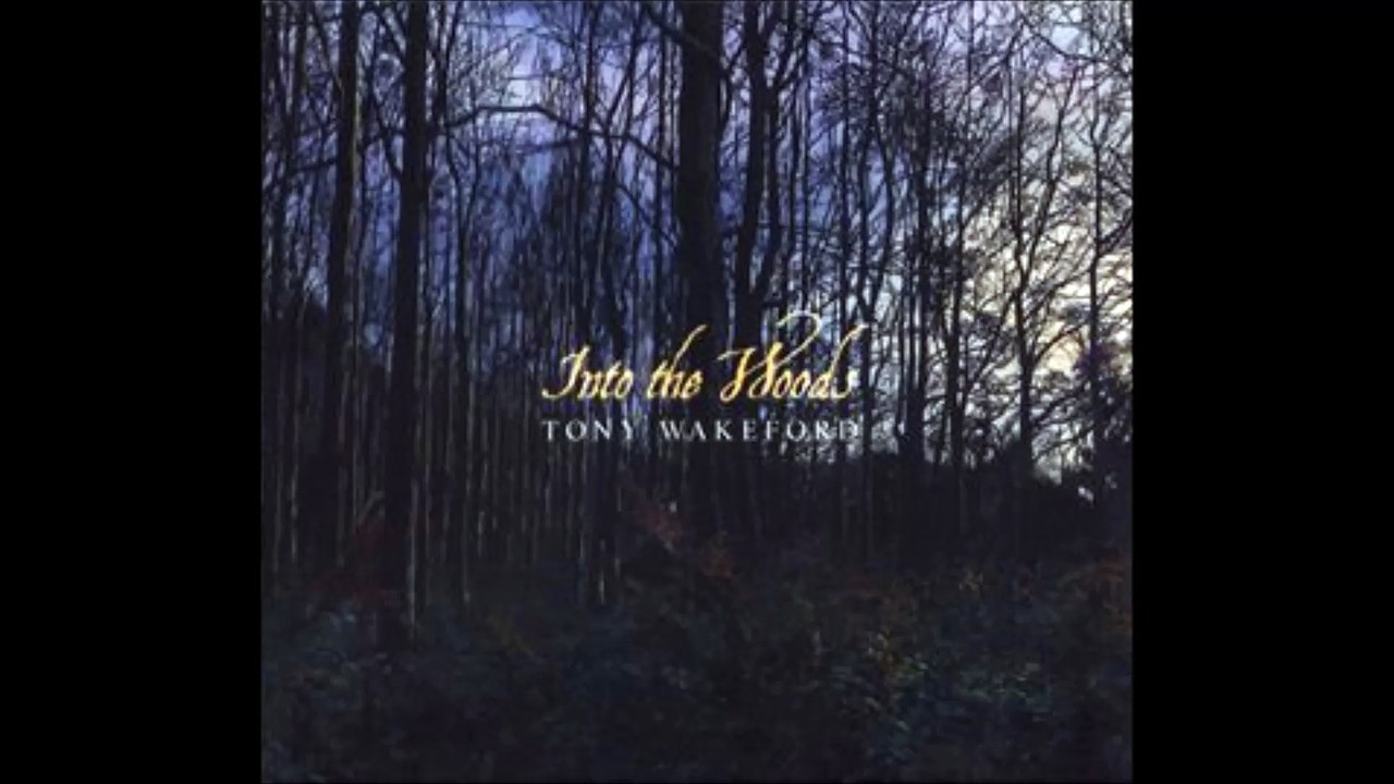 Tony Wakeford - Take The Steps