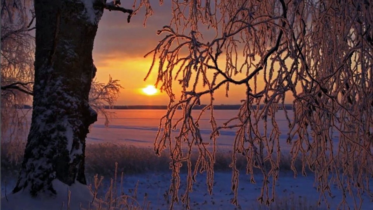 FOTOĞRAFÇI VALTTERI MULKAHAINEN
