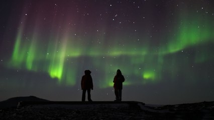 Watch Antarctica: A Year On Ice Full Movie Online