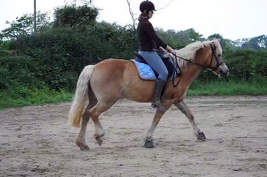 Kandie Galop Mai 2011