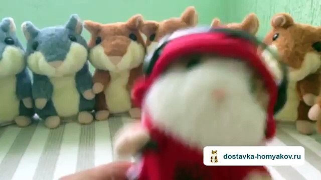 Лепсу посвящается. Хомяки и рюмка водки на столе!