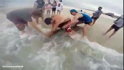 Un adolescente pesca un tiburón de 3 metros con solo una caña