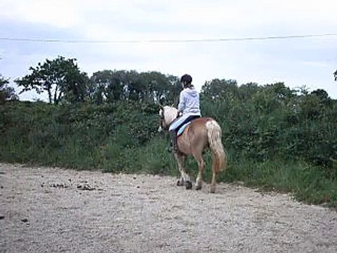 Kandie saut Mai 2011