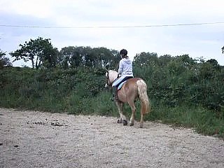 Kandie saut Mai 2011