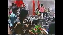 Violin Instrumental PTV Ustad Raees Khan Ho Tamanna Aur Kya Jane Tamanna Aap Ha Noor Jehan