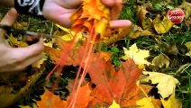 How to make a Rose out of a Maple Leaves - Autumn Leaf Crafts
