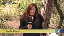 TV3 - Els Matins - Catalunya de bruixes, diables i dimonis
