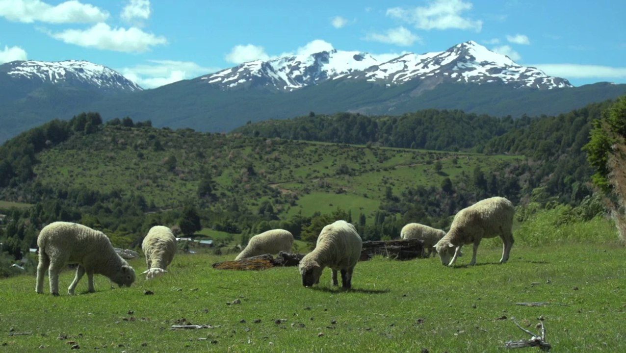 Gaucho Del Norte - Trailer