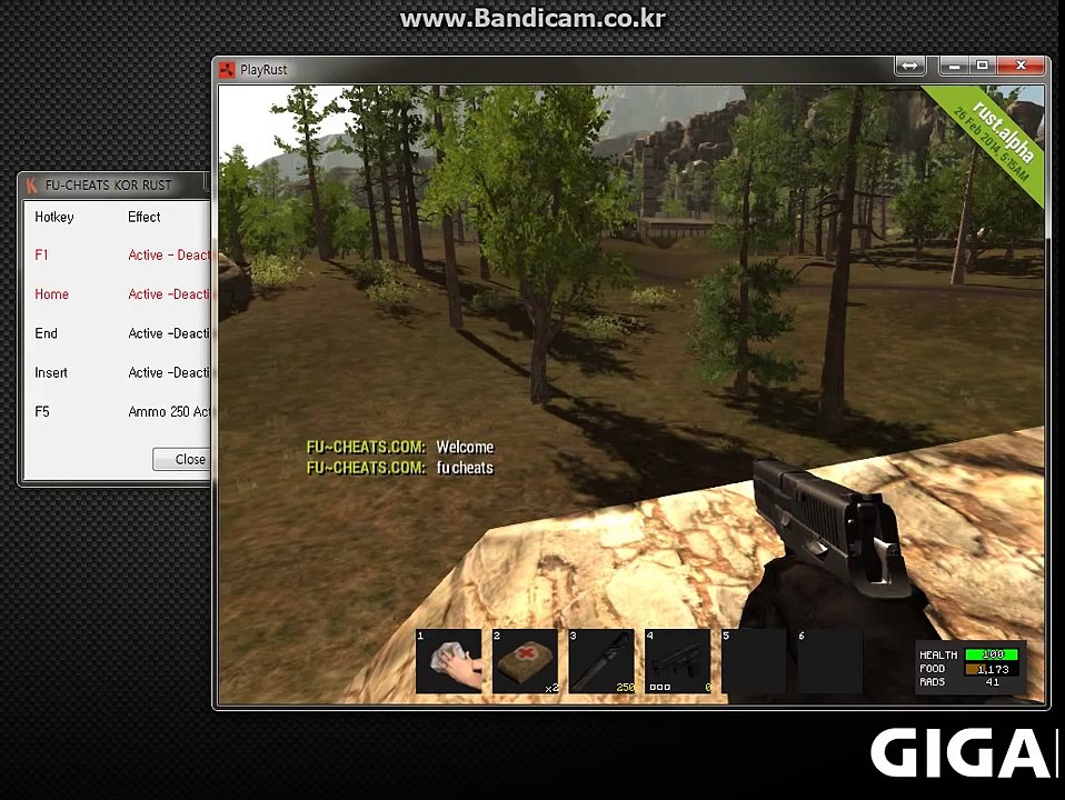 rust cheats