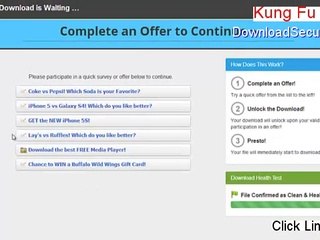 Kung Fu Panda Cracked [kung fu panda]