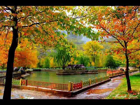 KIVIRCIK MAHMUT SÜPER ŞARKI DAMAR SEVDAM SANA HİÇ KÜSMEDİM