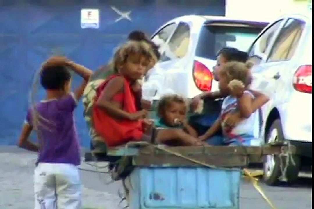 Os invisíveis ( documentário ) - Bem Estar Animal