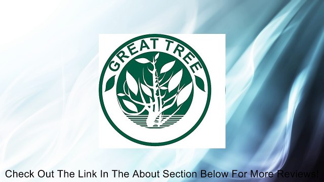 GreatTree Hot sale Double faced bicycle spoke light wind fire wheels silica gel spoke light steel wire lamp mountain bike wheel light,red (blue) Review