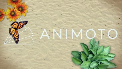 Xal Animal Butterfly Tree mtob 4565566rt7tg6766745455