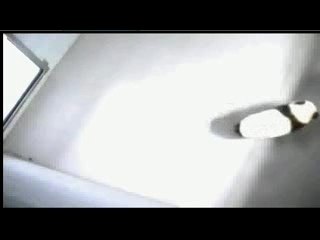 Mei Lan, go outside! #3