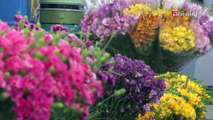 A Whiff of Spring in Seoul 서울의 봄맞이 현장