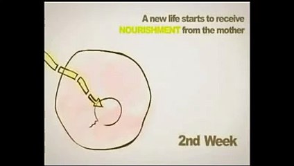 Ambition vs Abortion