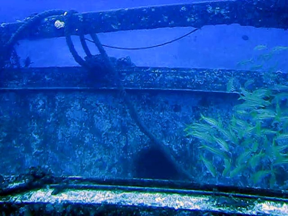 MVI_0575